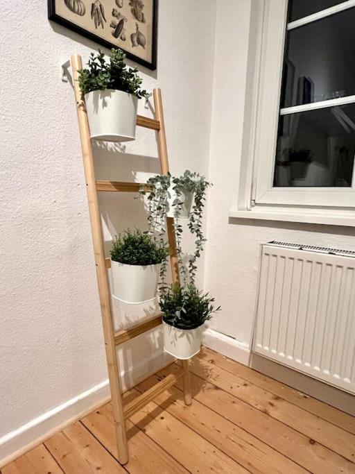 Stadtoase Design Wohnung In Der Altstadt Von Koblenz Koblenz  Ngoại thất bức ảnh